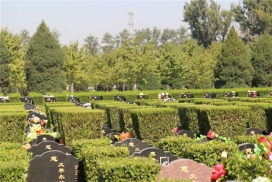 长青园骨灰林墓型